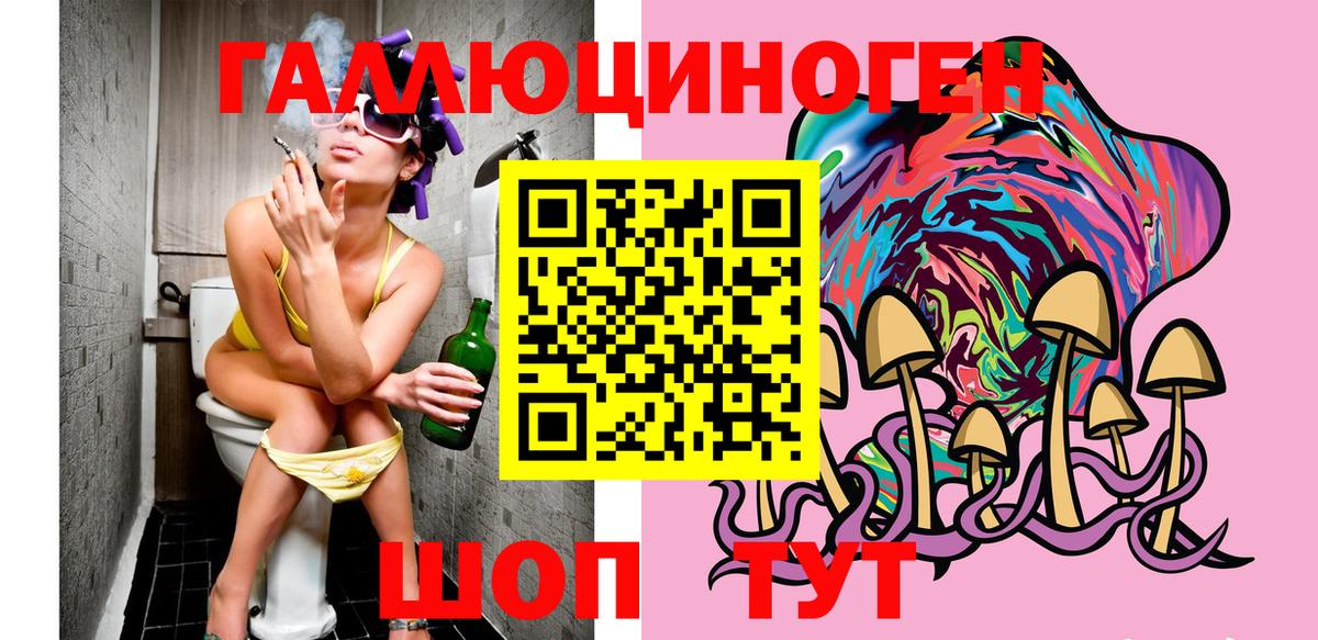 Малоярославец  Псилоцибиновые грибы GOLDEN TEACHER  Вход с VPN 